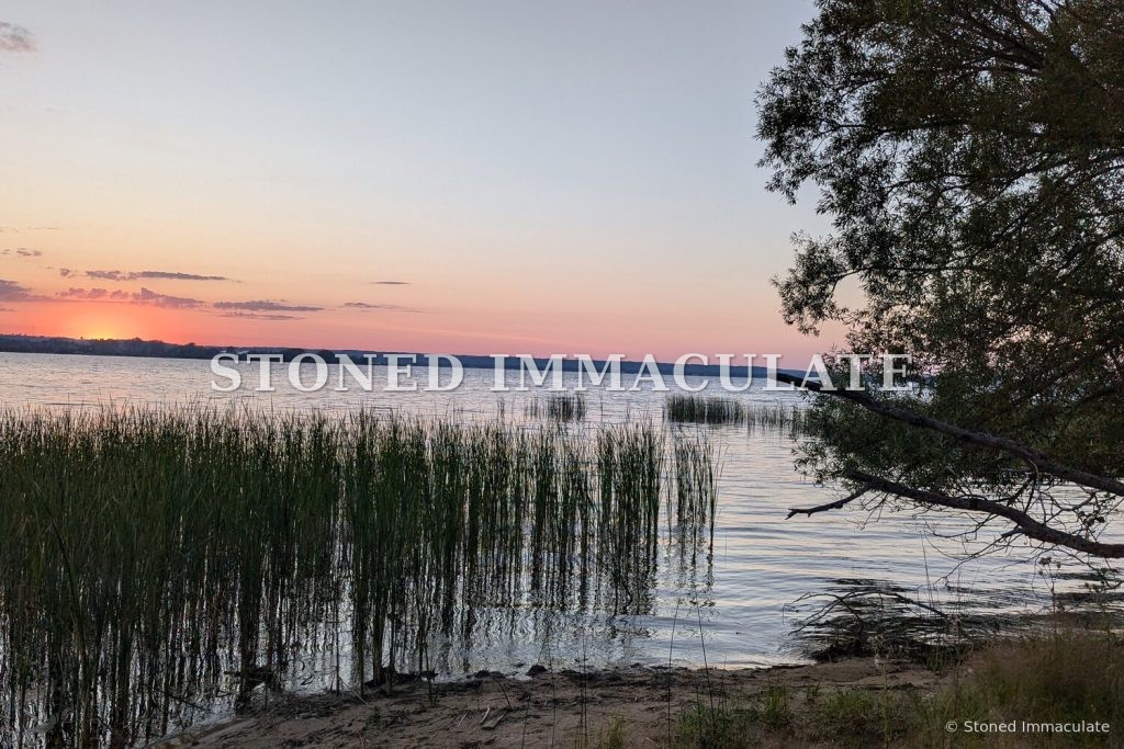 Great Lakes Sunset Reeds, from the Golden Hour bundle