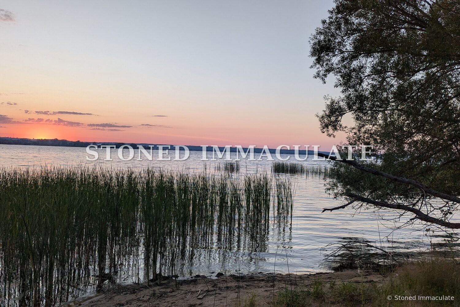 Sunset over a Great Lakes shore with reeds in the foreground