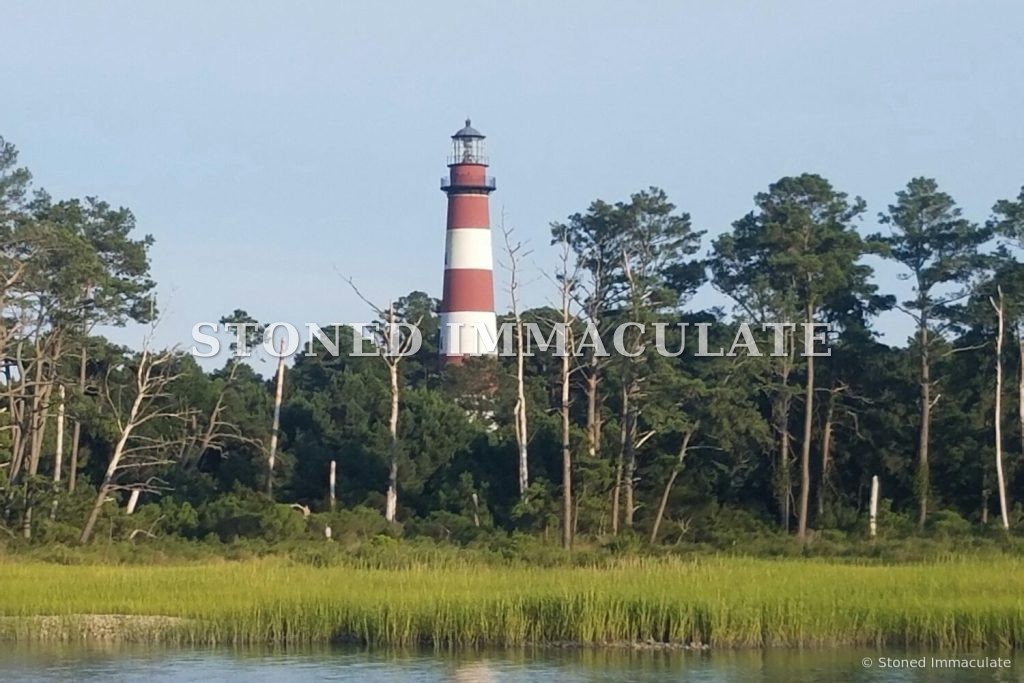 Lighthouse Across the Marsh, from the Lighthouses bundle