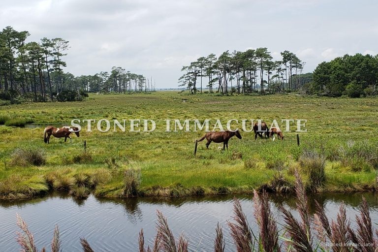 Wild Places, a bundle of 8 printable photographs