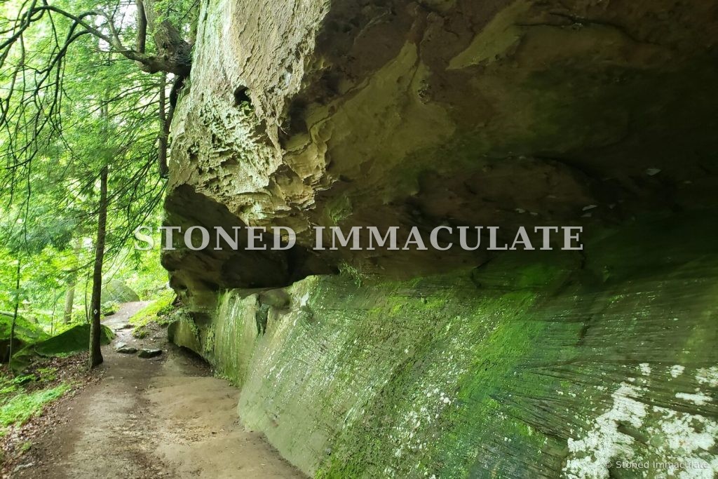 Trail Beneath the Overhang, from the Sandstone Rock Shelters bundle