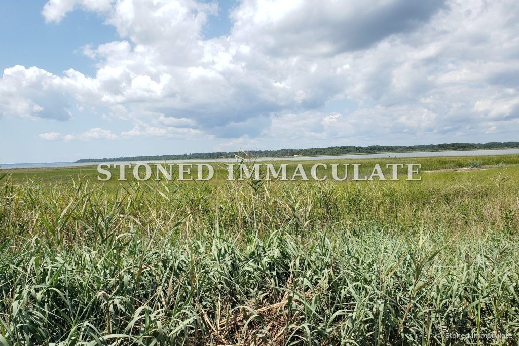 Salt Marsh and Clouds, from the Wild Places bundle