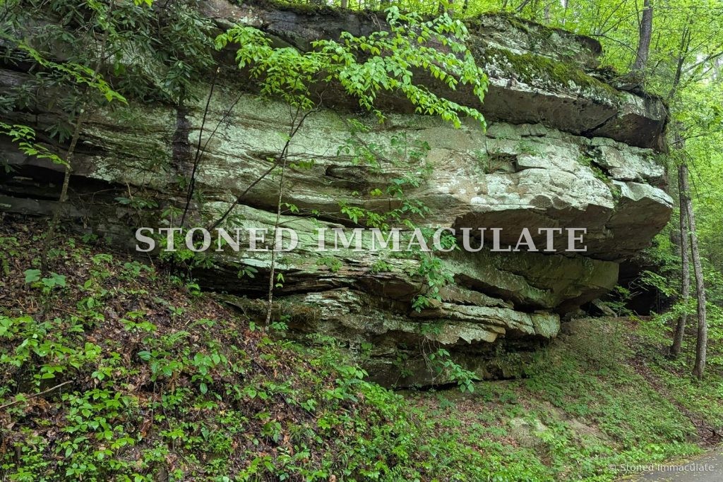Ledge in the Green Woods, from the Sandstone Rock Shelters bundle