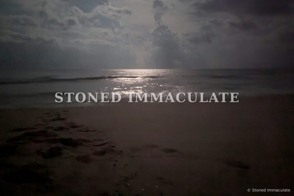 Moonlit Footprints, from the Moonlit Beach bundle