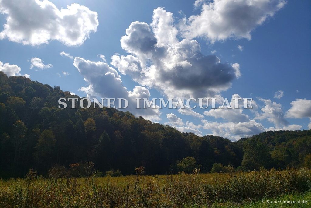 Autumn Meadow and Clouds, from the Lake and River Overlooks bundle