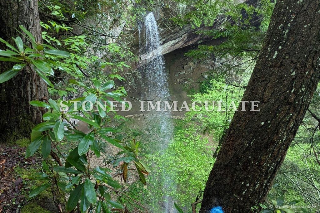 Falls Through the Laurel, from the Falls and Cascades bundle