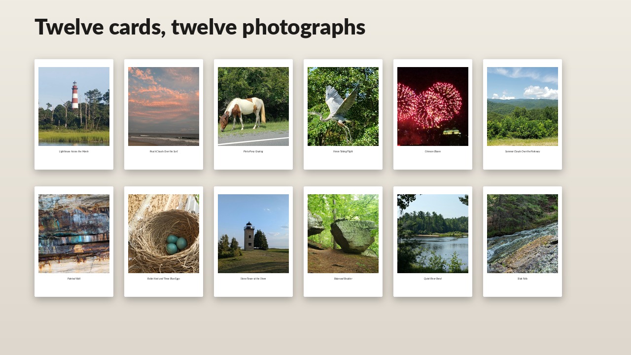 Grid of the twelve greeting cards, each with a different nature photograph